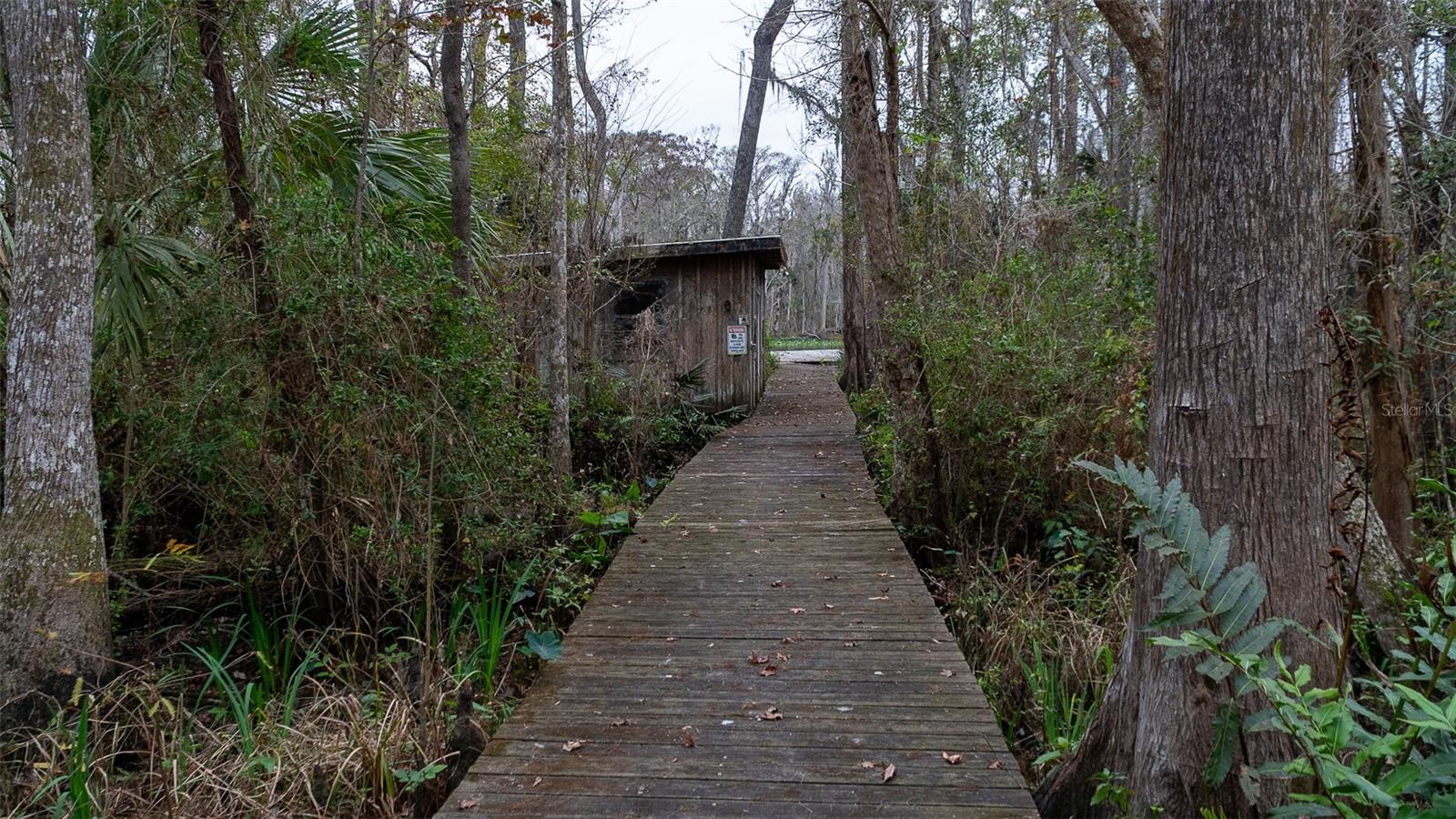 155 FRAN LN, SATSUMA, FL — photo 11