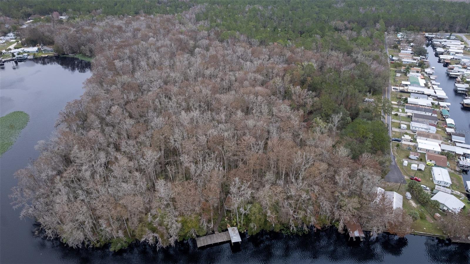 155 FRAN LN, SATSUMA, FL — photo 19