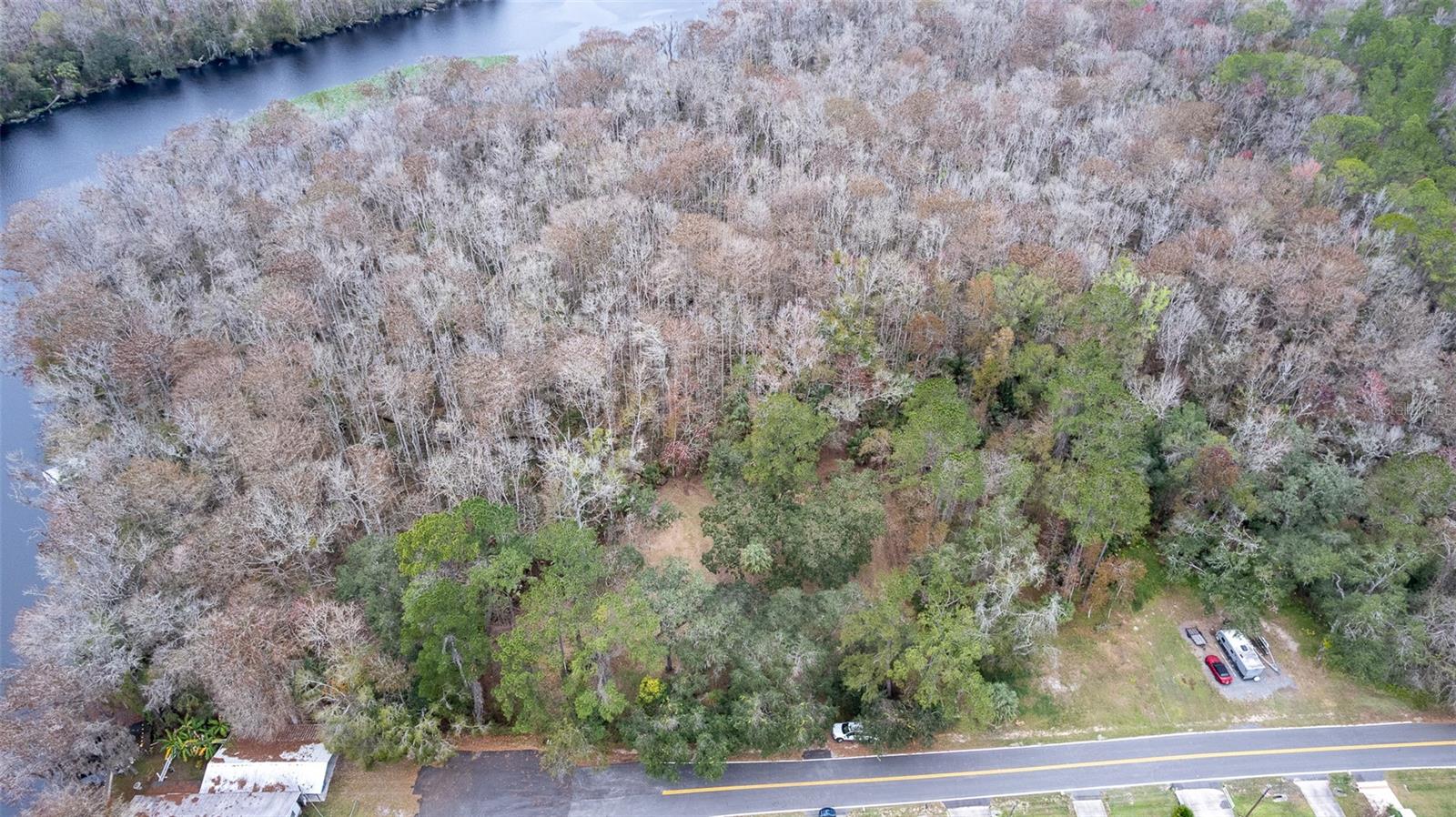 155 FRAN LN, SATSUMA, FL — photo 22