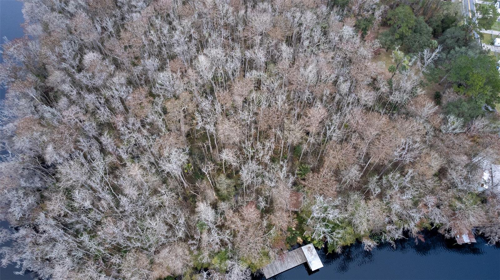 155 FRAN LN, SATSUMA, FL — photo 25