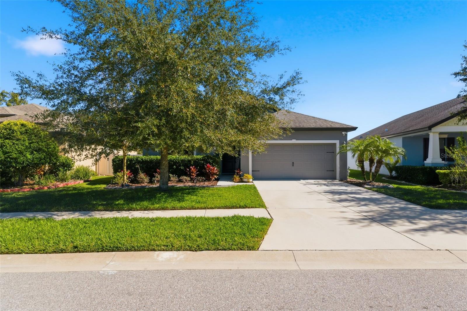 8328 AUBURN RISE CT, LAND O LAKES, FL — photo 47