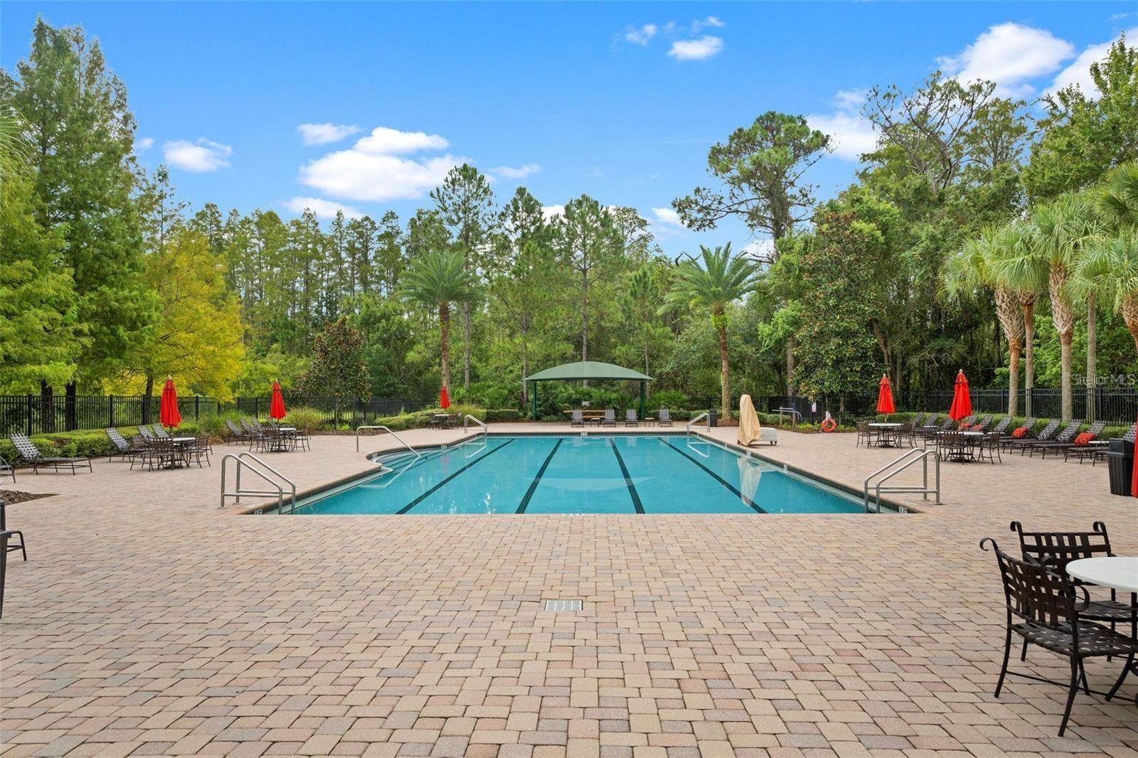 8328 AUBURN RISE CT, LAND O LAKES, FL — photo 39