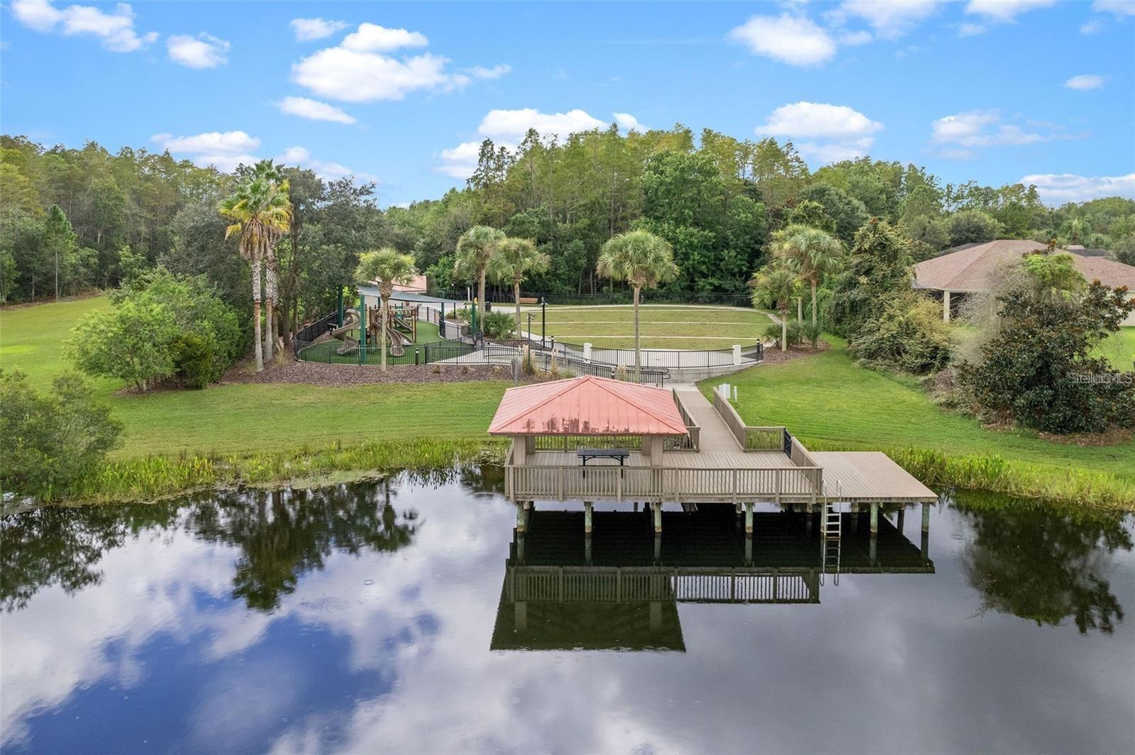 8328 AUBURN RISE CT, LAND O LAKES, FL — photo 42