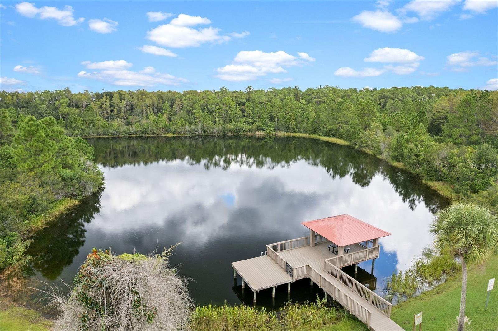 8328 AUBURN RISE CT, LAND O LAKES, FL — photo 48