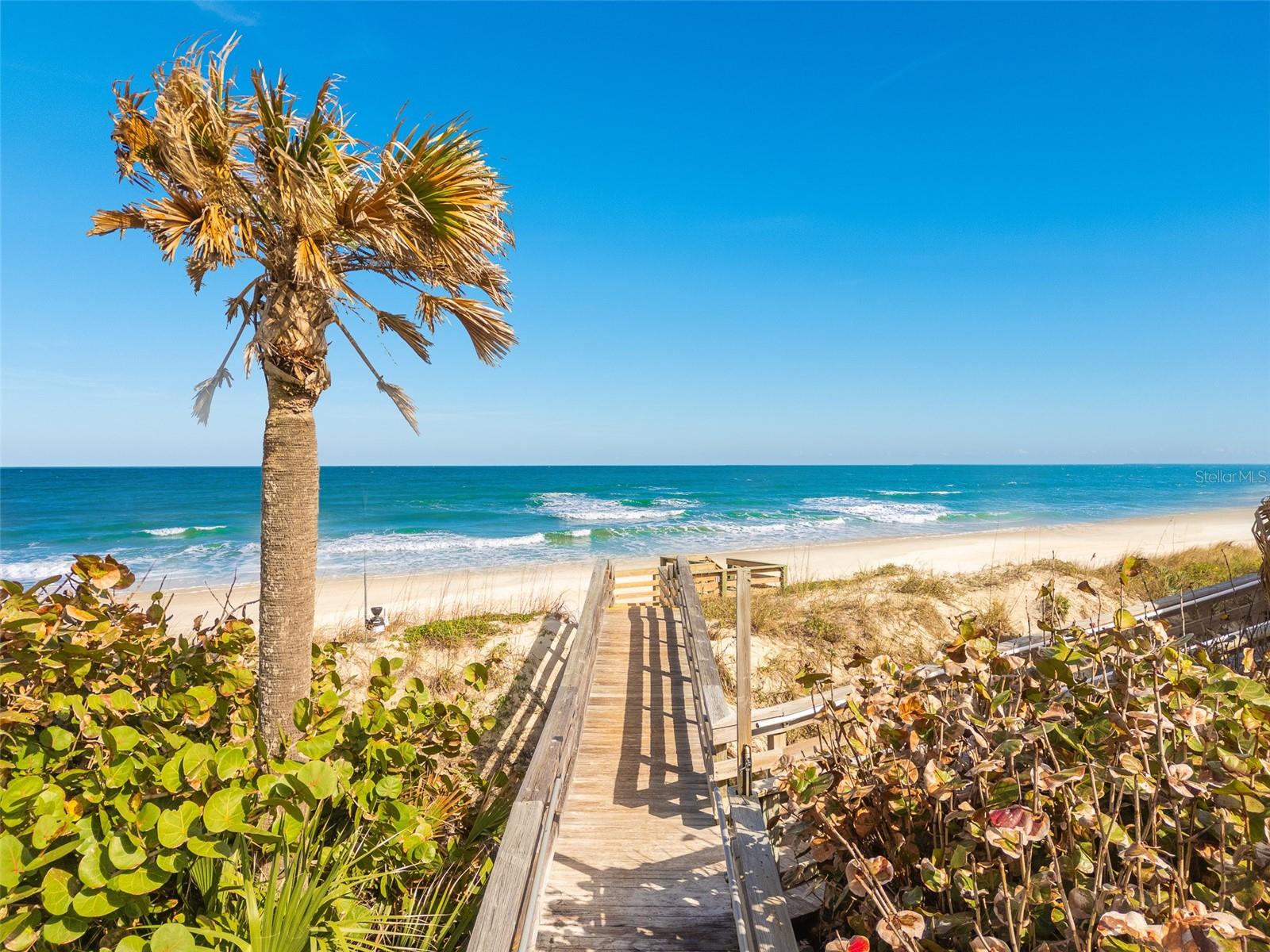 4606 OAK HAMMOCK CT #4606, PONCE INLET, FL — photo 90