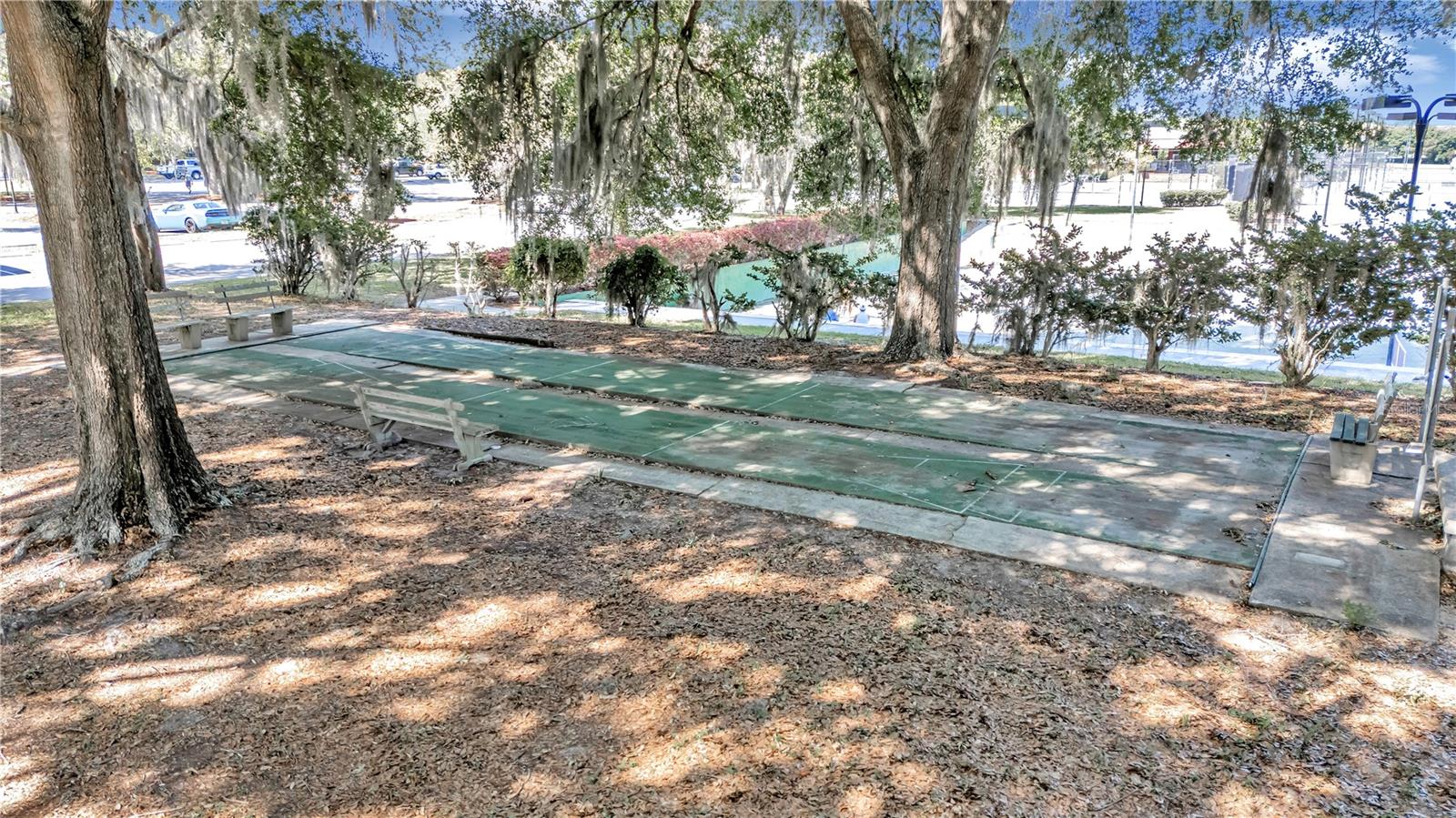 5203 GROVE MNR, LADY LAKE, FL — photo 151