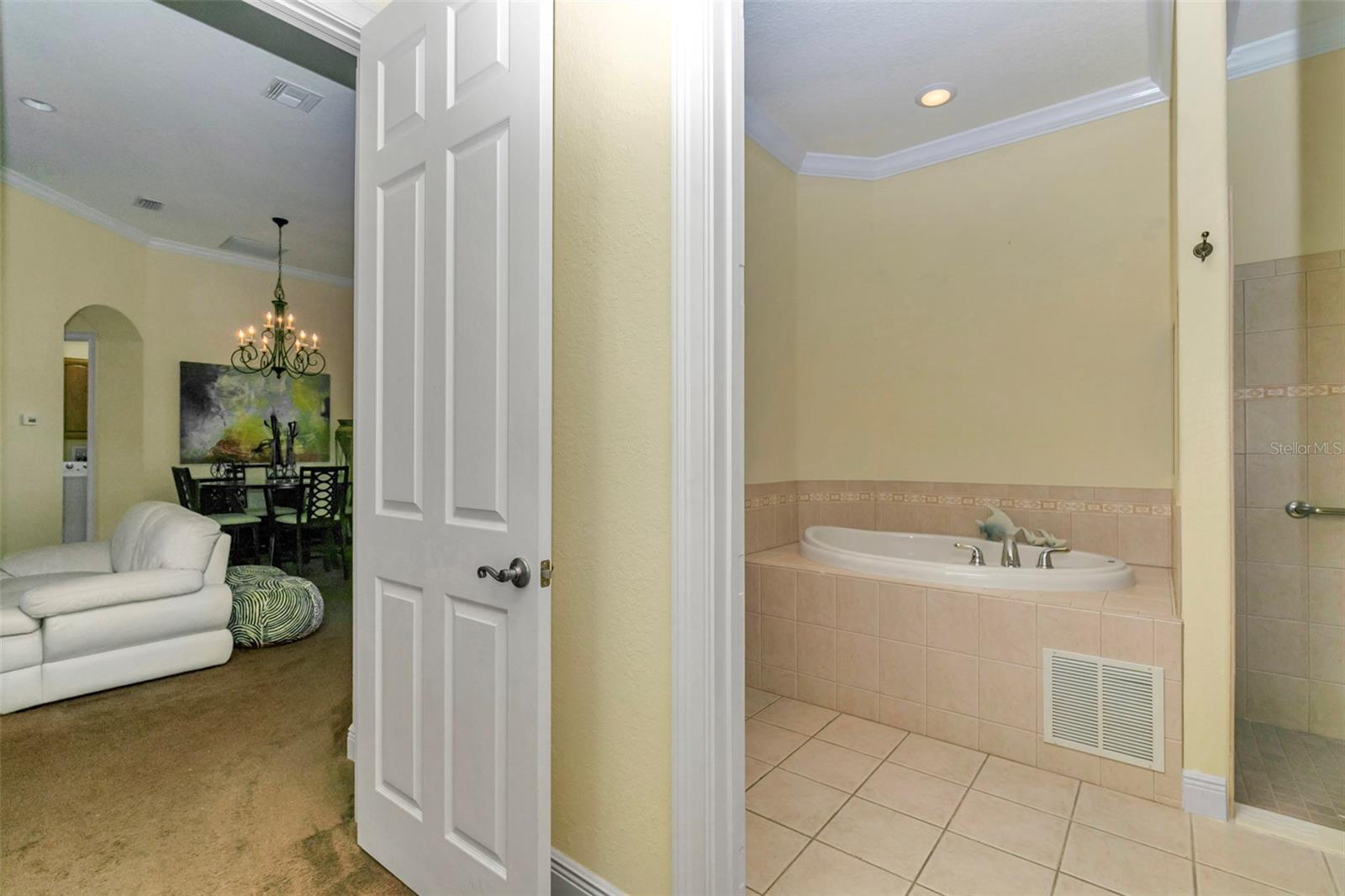 5203 GROVE MNR, LADY LAKE, FL — photo 38