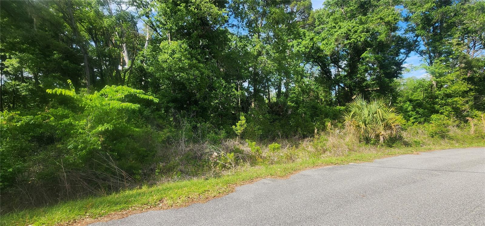 TBD OAK LANE WAY, OCALA, FL — photo 6