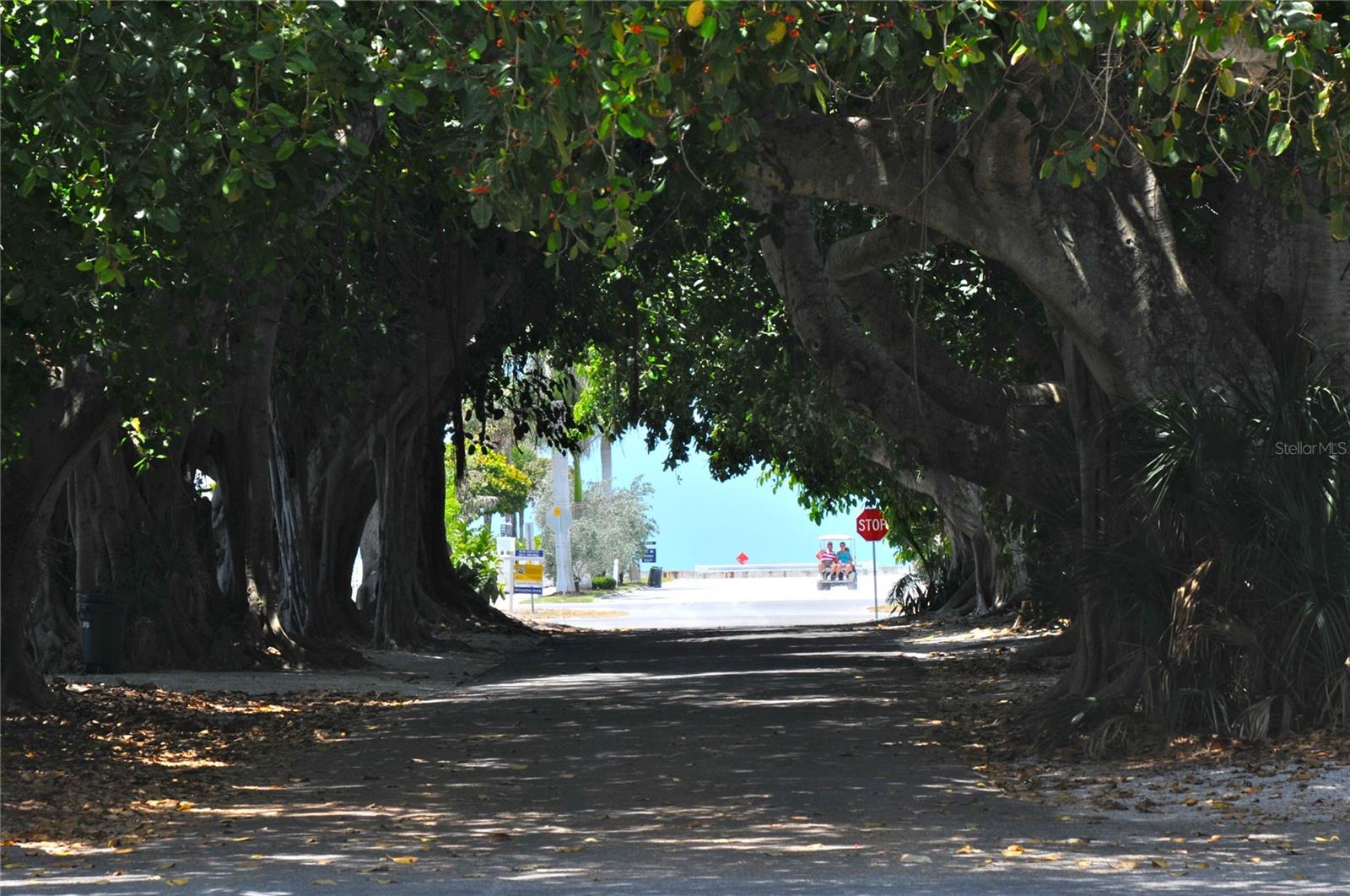 5020 GROUPER HOLE CT, BOCA GRANDE, FL — photo 68