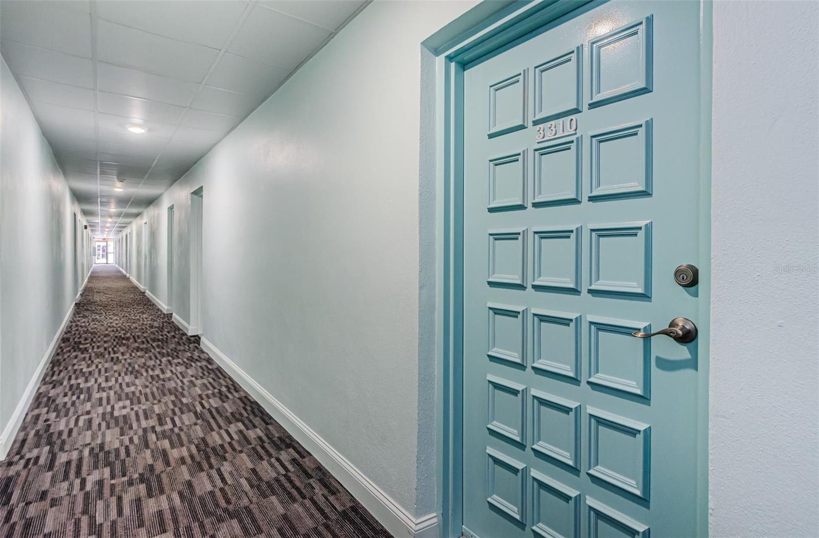 2700 BAYSHORE BLVD #3310, DUNEDIN, FL — photo 3