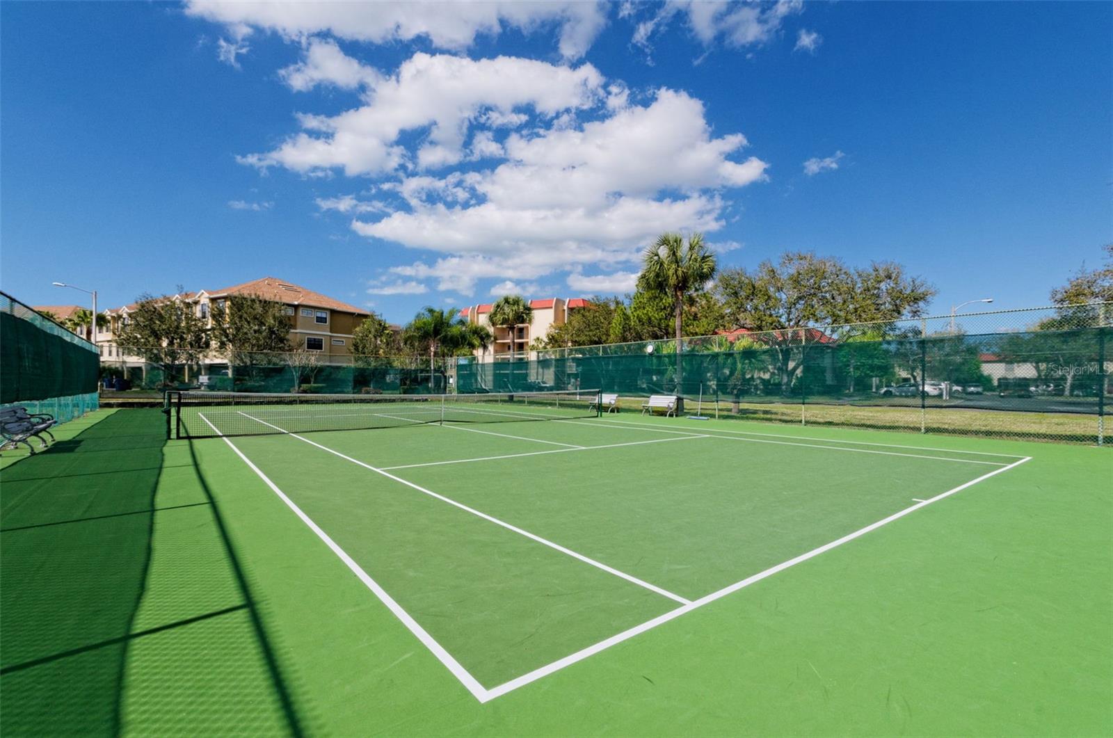 2700 BAYSHORE BLVD #3310, DUNEDIN, FL — photo 29