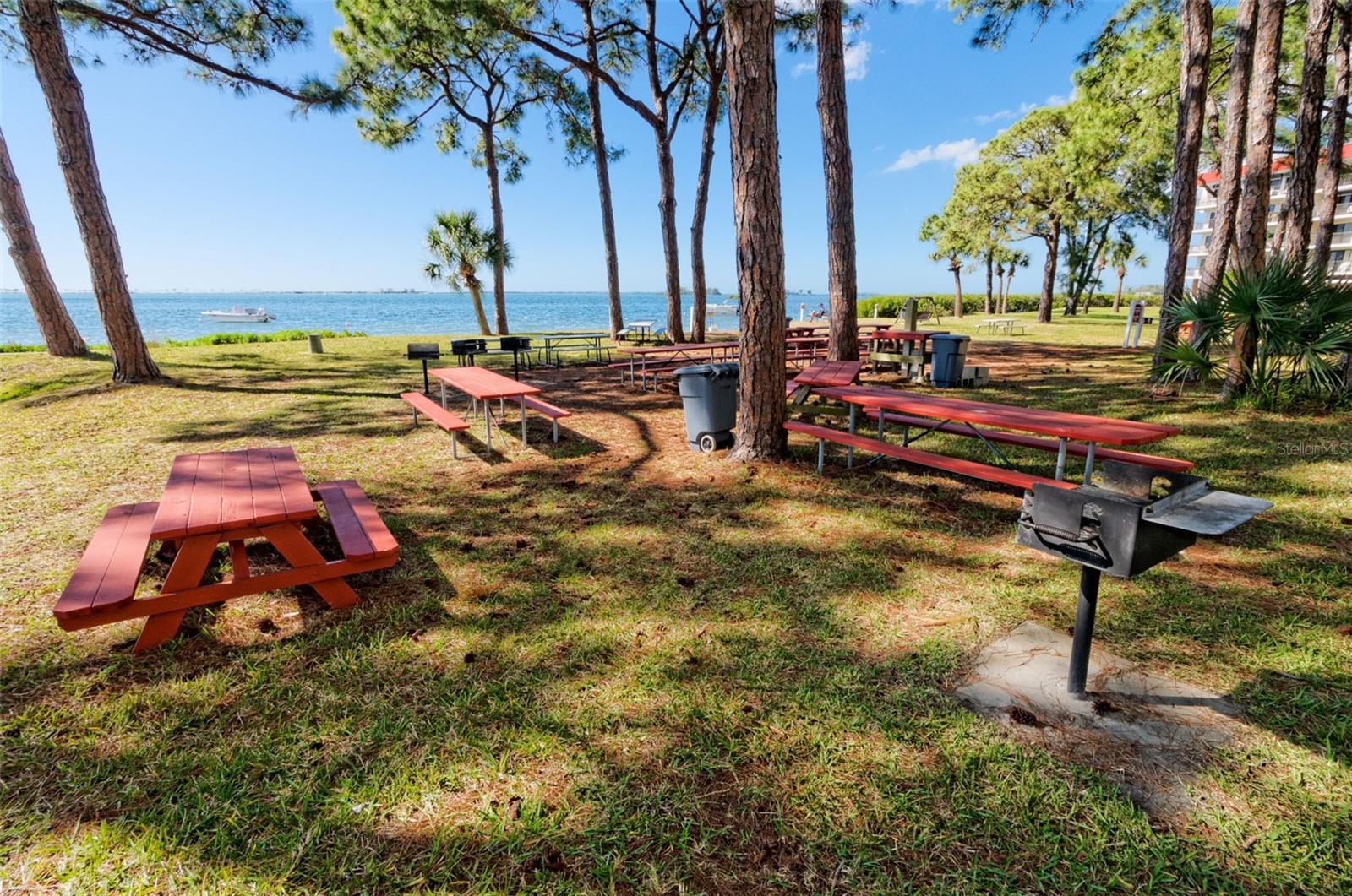 2700 BAYSHORE BLVD #3310, DUNEDIN, FL — photo 31