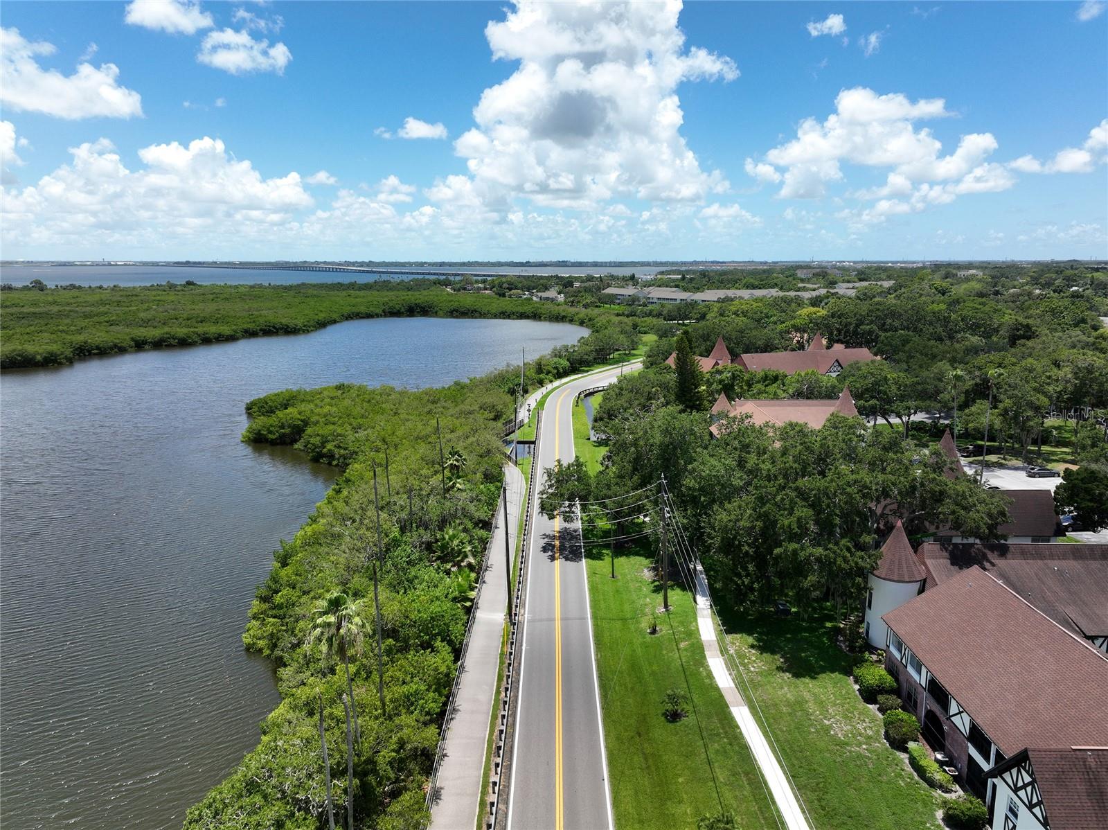 801 2ND ST N #C, SAFETY HARBOR, FL — photo 37