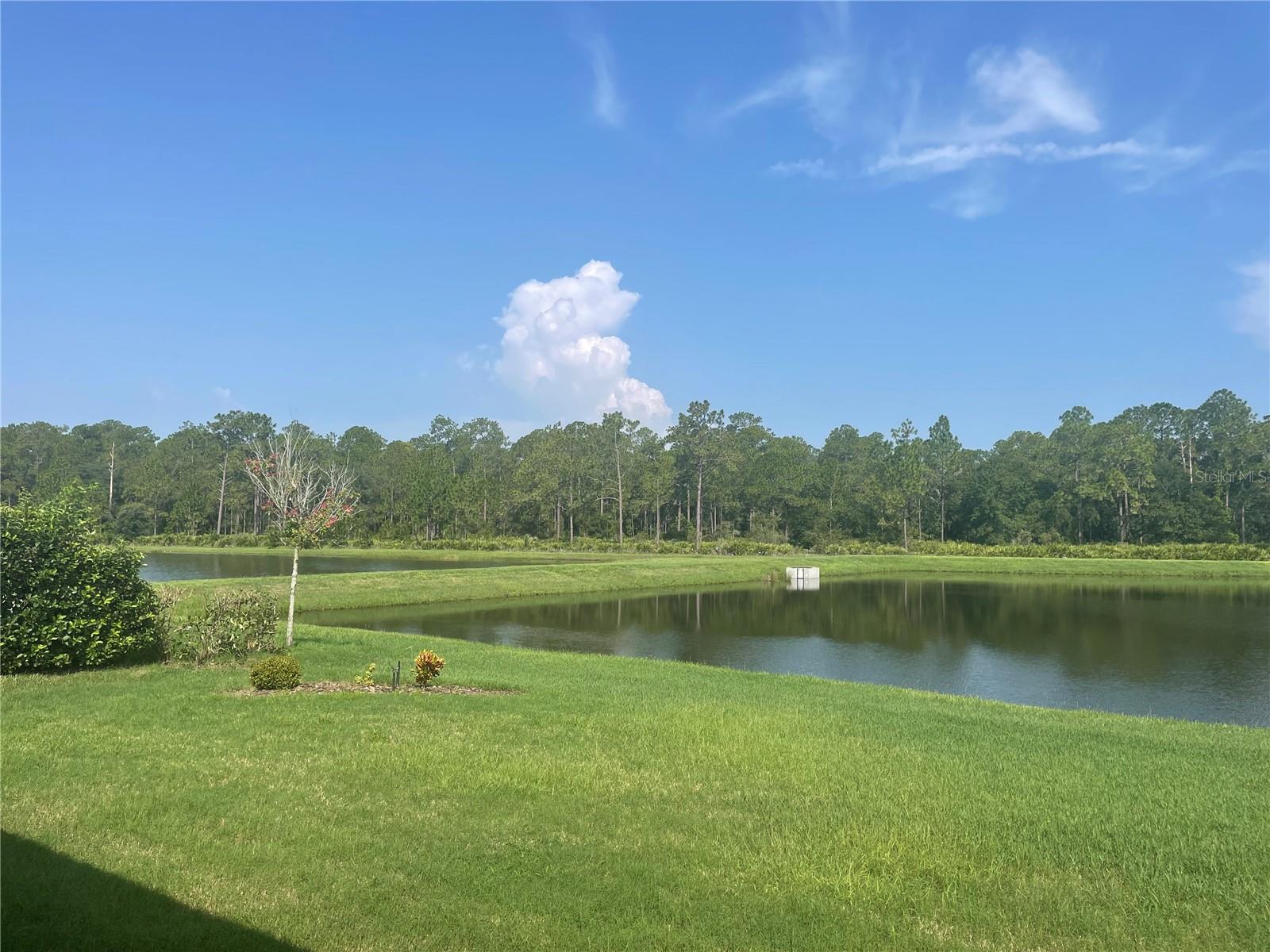 4239 WOODLAND RETREAT BLVD, NEW PORT RICHEY, FL — photo 22