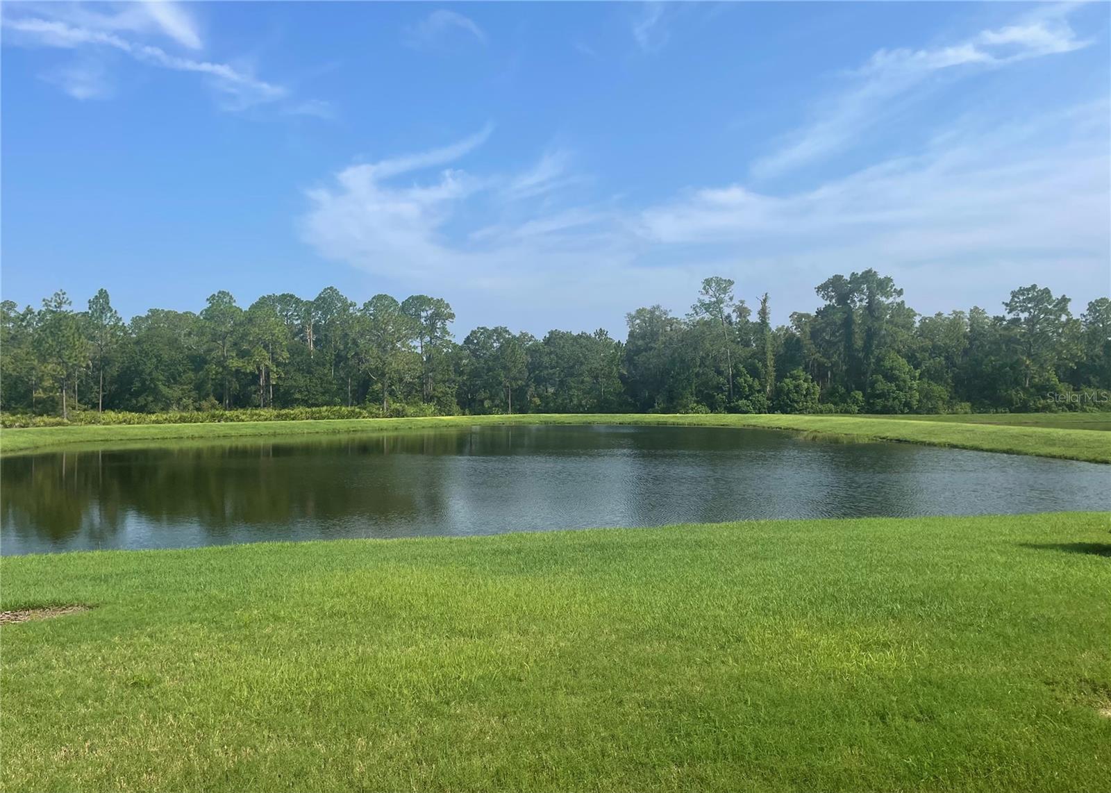 4239 WOODLAND RETREAT BLVD, NEW PORT RICHEY, FL — photo 23