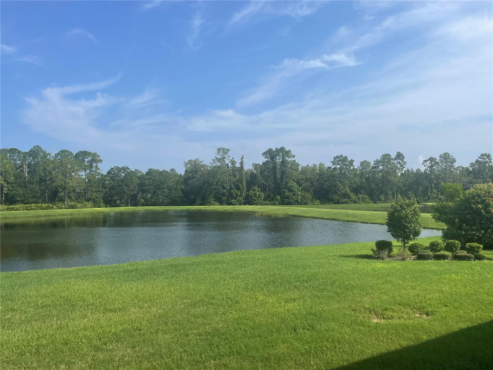 4239 WOODLAND RETREAT BLVD, NEW PORT RICHEY, FL — photo 24