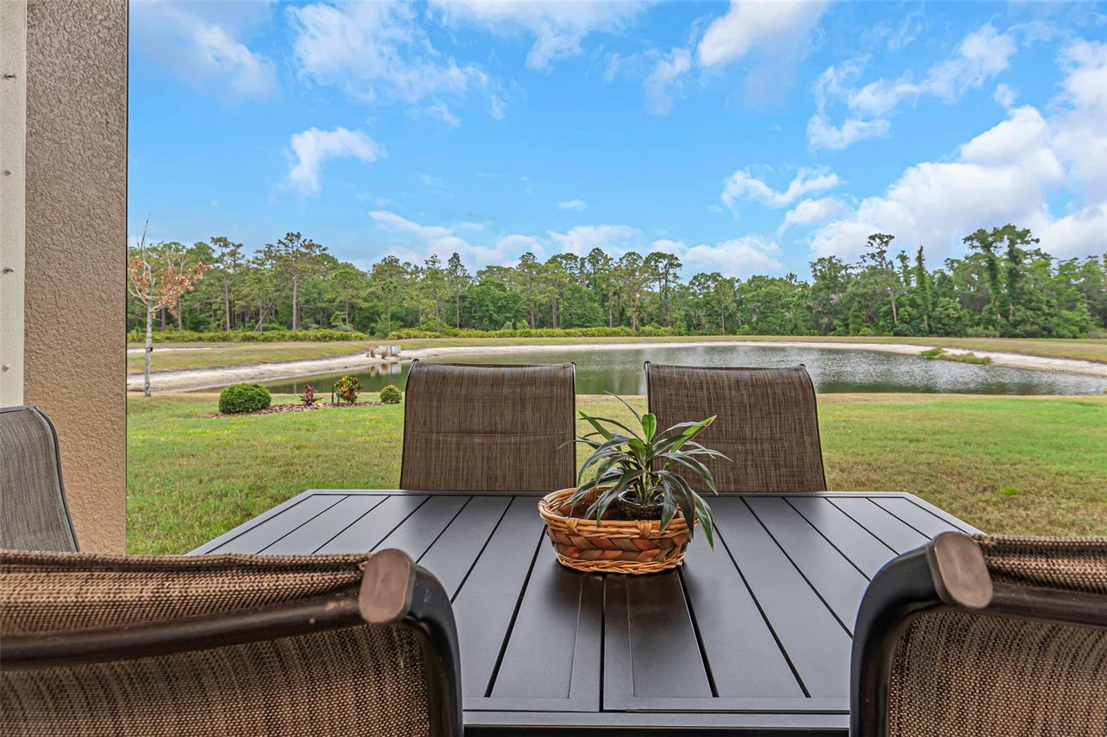 4239 WOODLAND RETREAT BLVD, NEW PORT RICHEY, FL — photo 45