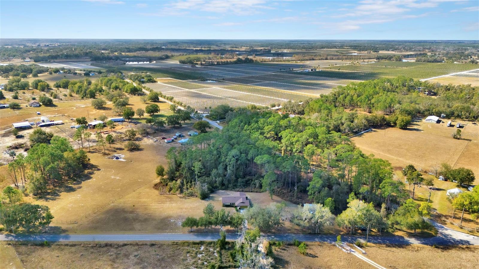 17125 TUSCANOOGA RD, GROVELAND, FL — photo 137