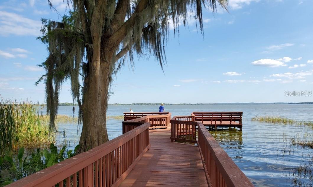 5964 BRITTANIA BLVD, TAVARES, FL — photo 33