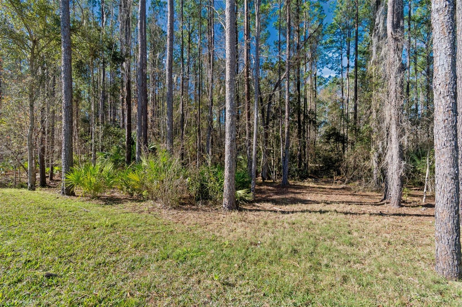 4905 MAJESTIC HILLS LOOP, BROOKSVILLE, FL — photo 3