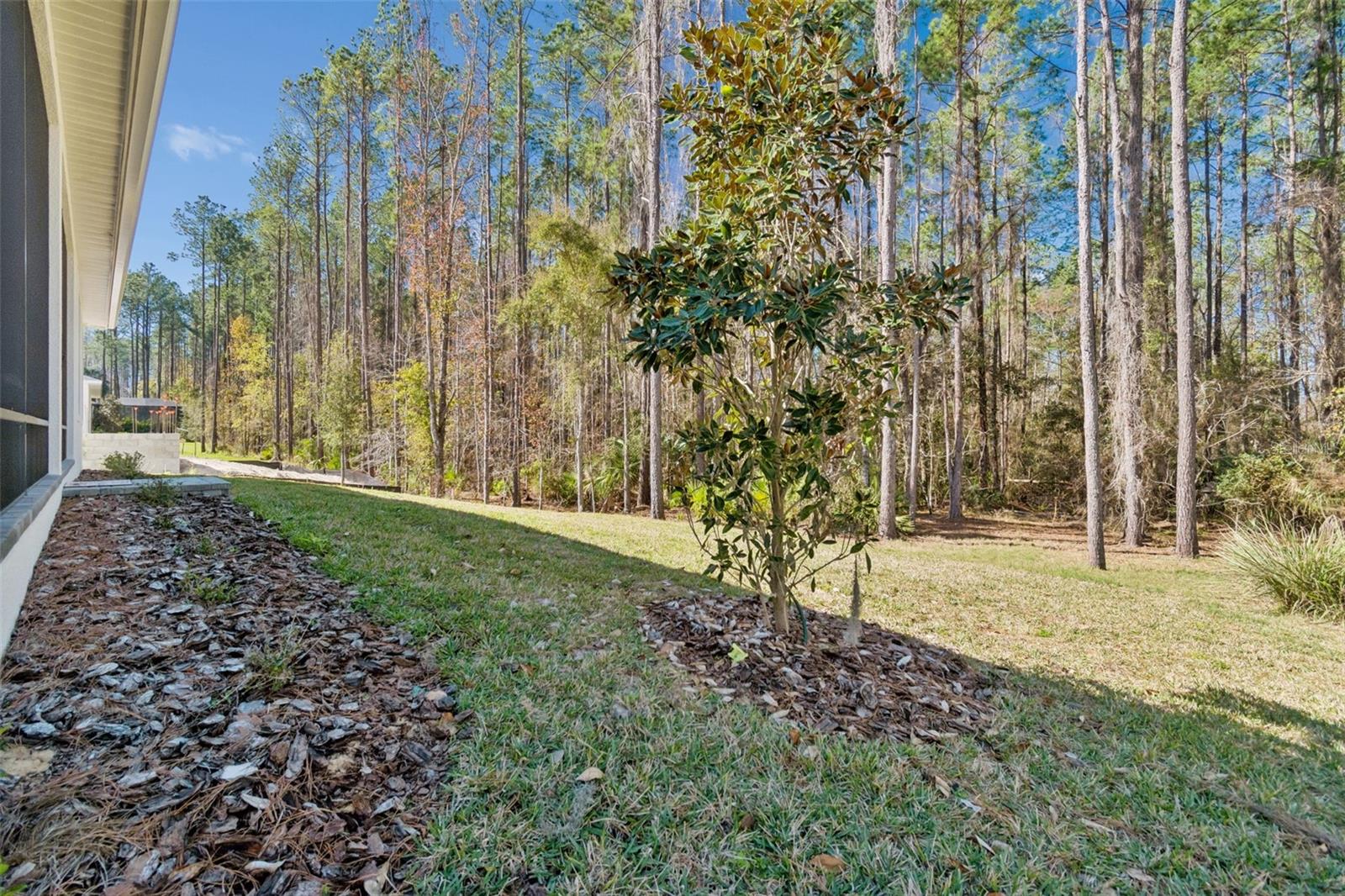 4905 MAJESTIC HILLS LOOP, BROOKSVILLE, FL — photo 83