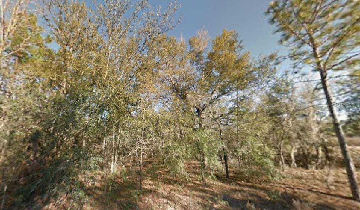 NE 154TH AVE, WILLISTON, FL