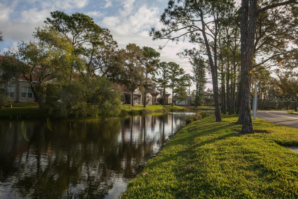 4690 LAUREL OAK LN NE, ST PETERSBURG, FL — photo 12