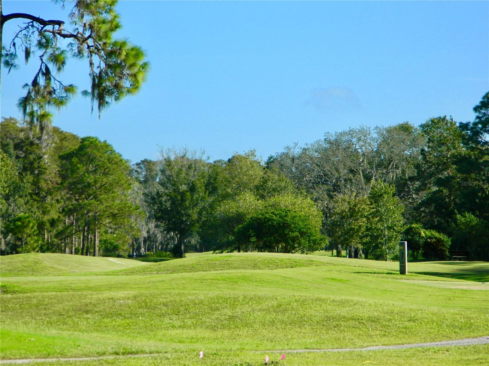 11931 BAYONET LN, NEW PORT RICHEY, FL — photo 21