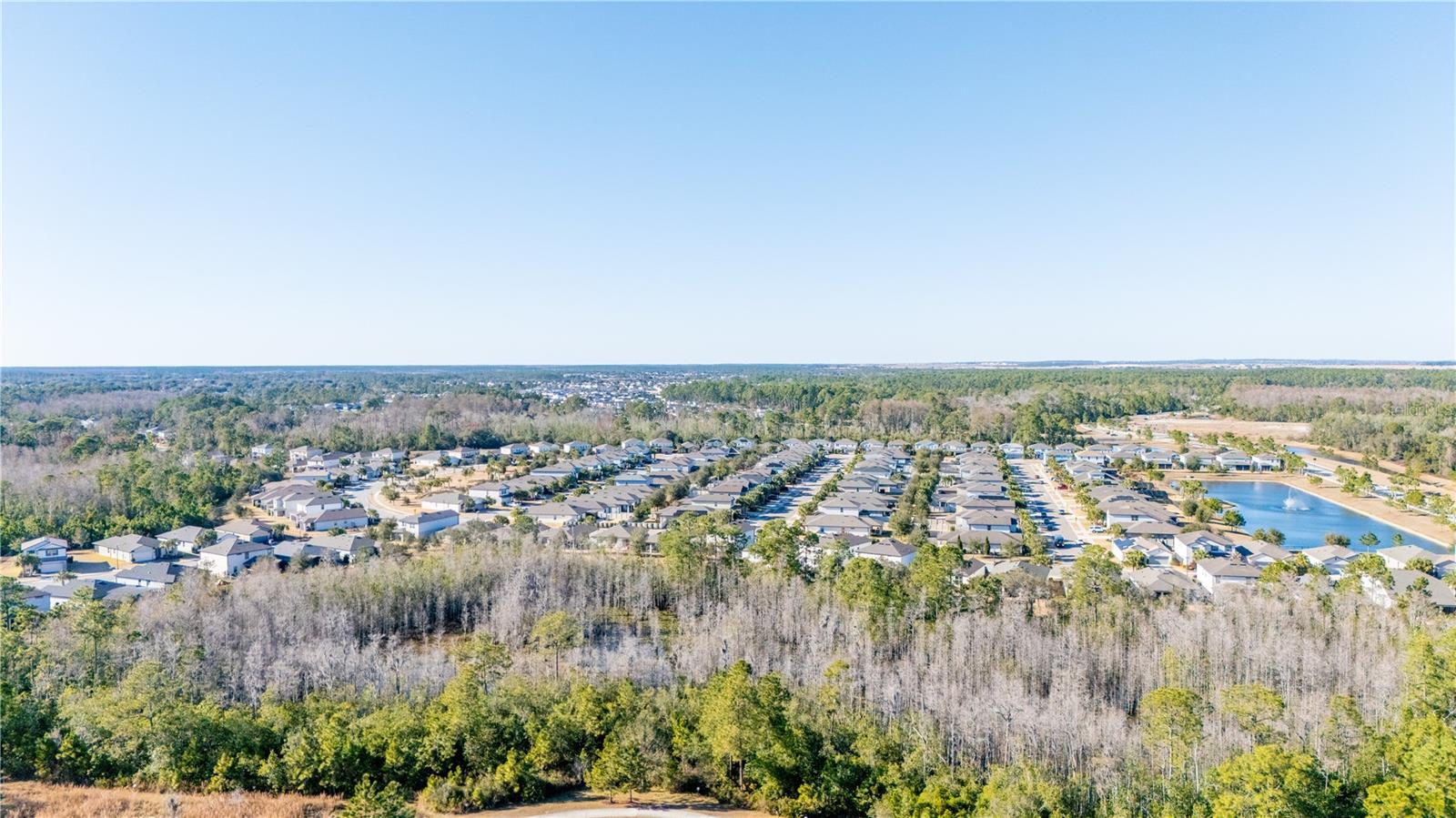 17128 BASSWOOD LN, CLERMONT, FL — photo 109