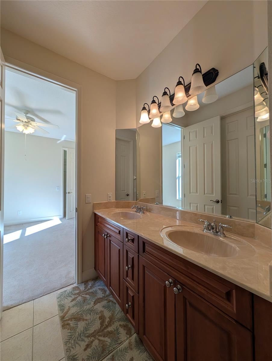 8492 DUNHAM STATION DR, TAMPA, FL — photo 35