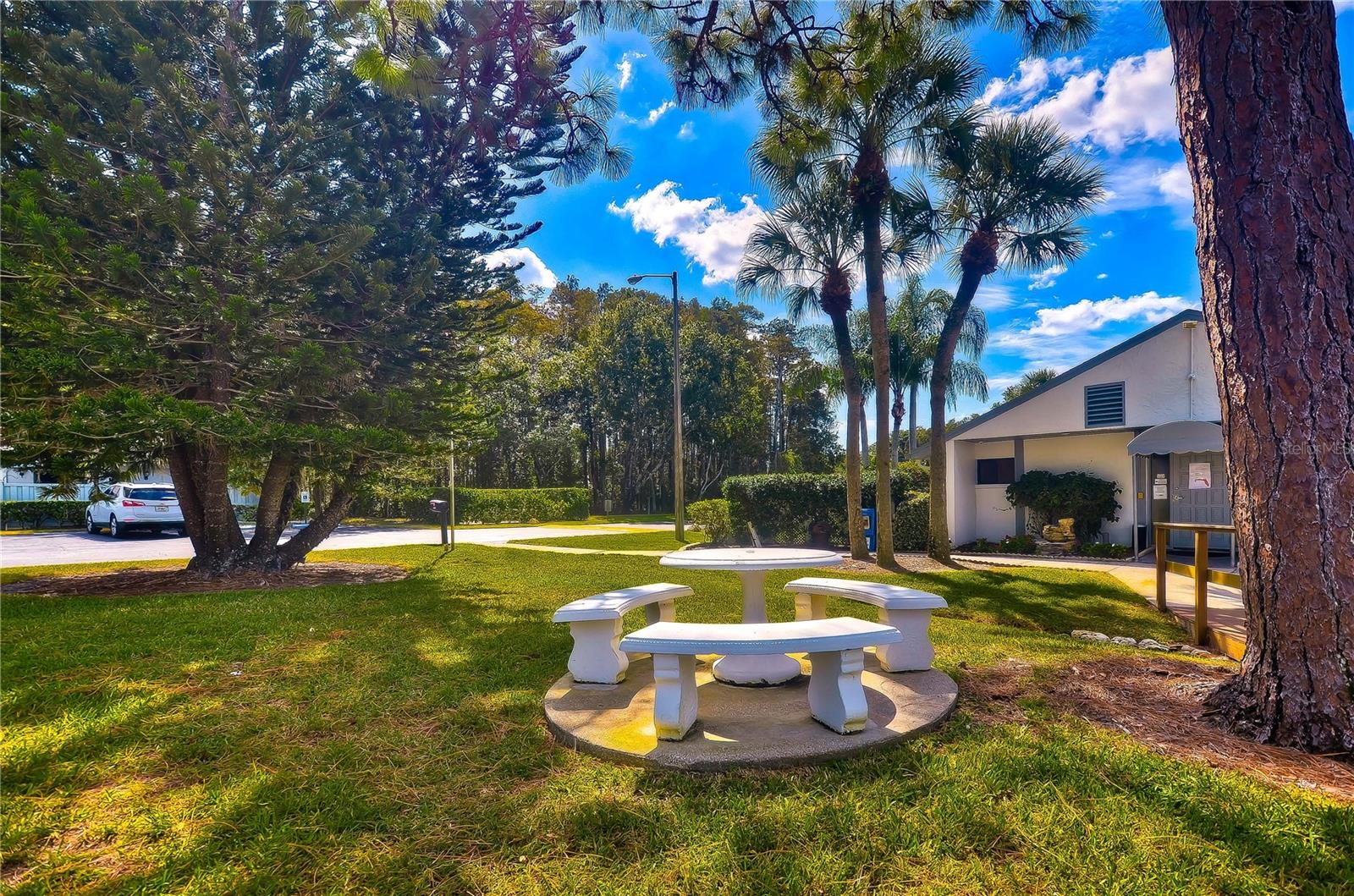 3161 LAKE PINE WAY S #F3, TARPON SPRINGS, FL — photo 31