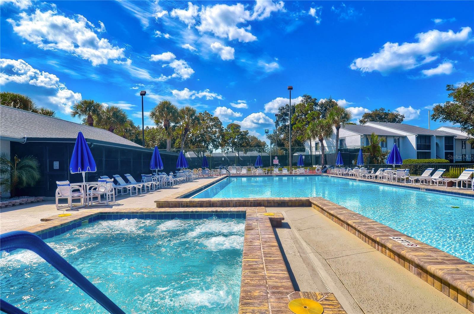 3161 LAKE PINE WAY S #F3, TARPON SPRINGS, FL — photo 33