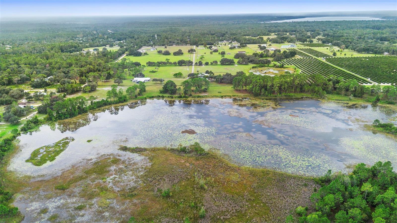 42554 MAGGIE JONES RD, PAISLEY, FL — photo 115