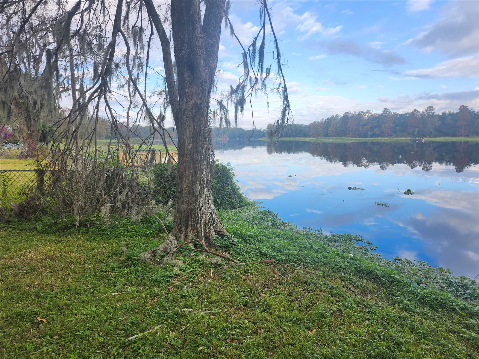 3606 RIVER GROVE DR, TAMPA, FL — photo 3