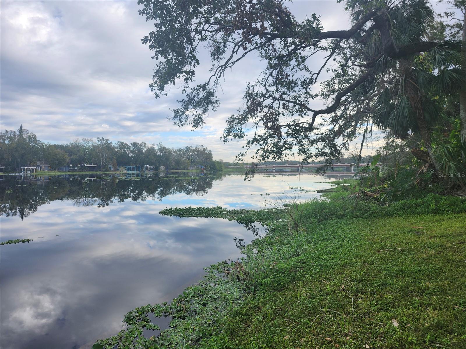 3606 RIVER GROVE DR, TAMPA, FL — photo 4