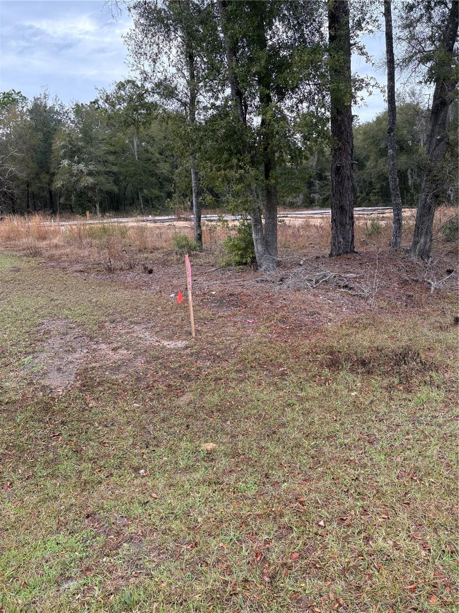 SW 202ND CT &SW 63RD PL, DUNNELLON, FL
