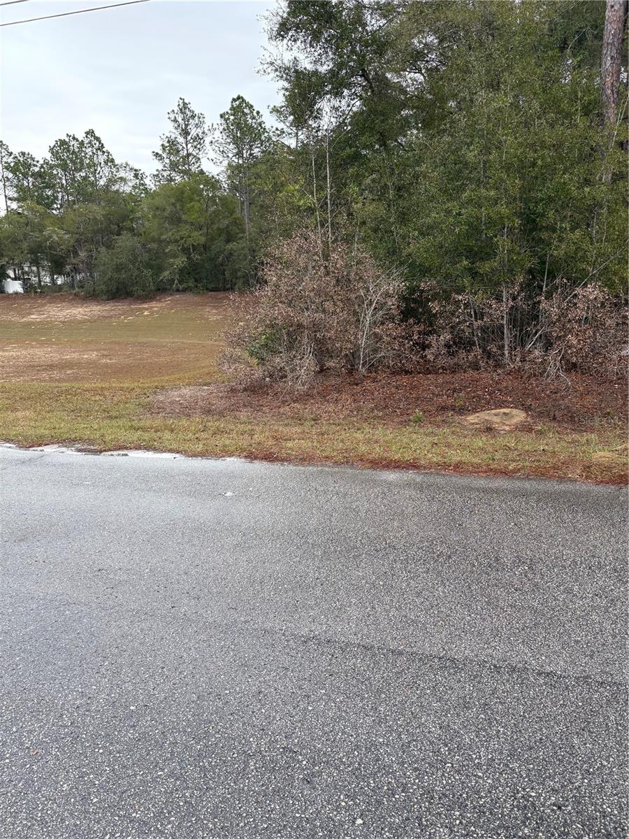 SW 202ND CT &SW 63RD PL, DUNNELLON, FL — photo 2