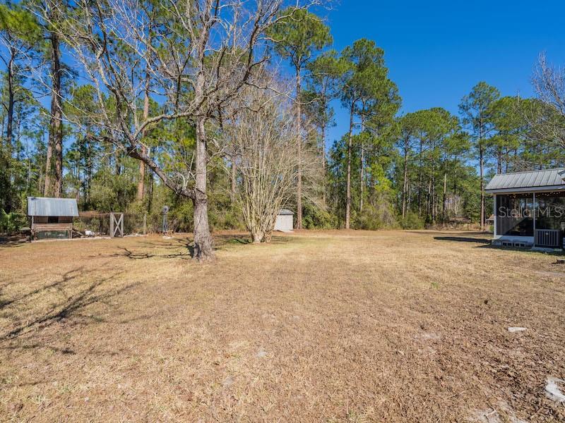 14641 NE 154TH ST, FORT MC COY, FL — photo 34