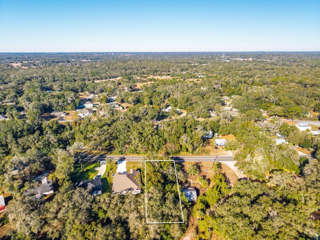 31060 LOCHMORE CIR, SORRENTO, FL — photo 41