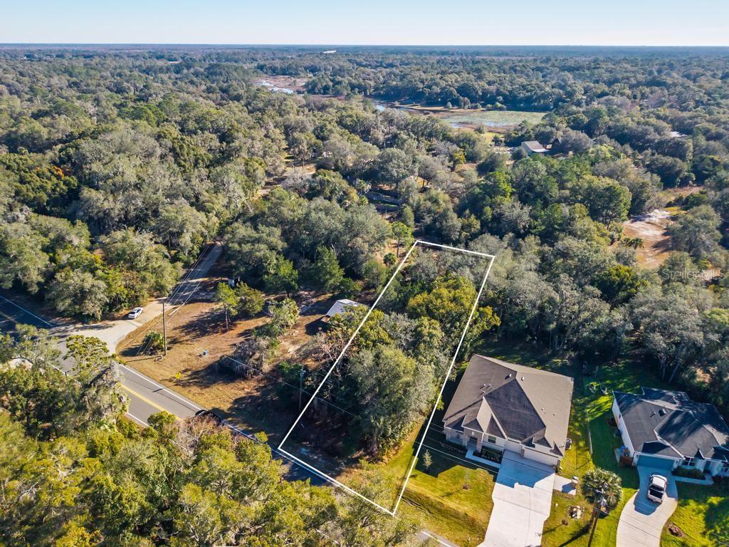 31060 LOCHMORE CIR, SORRENTO, FL — photo 45