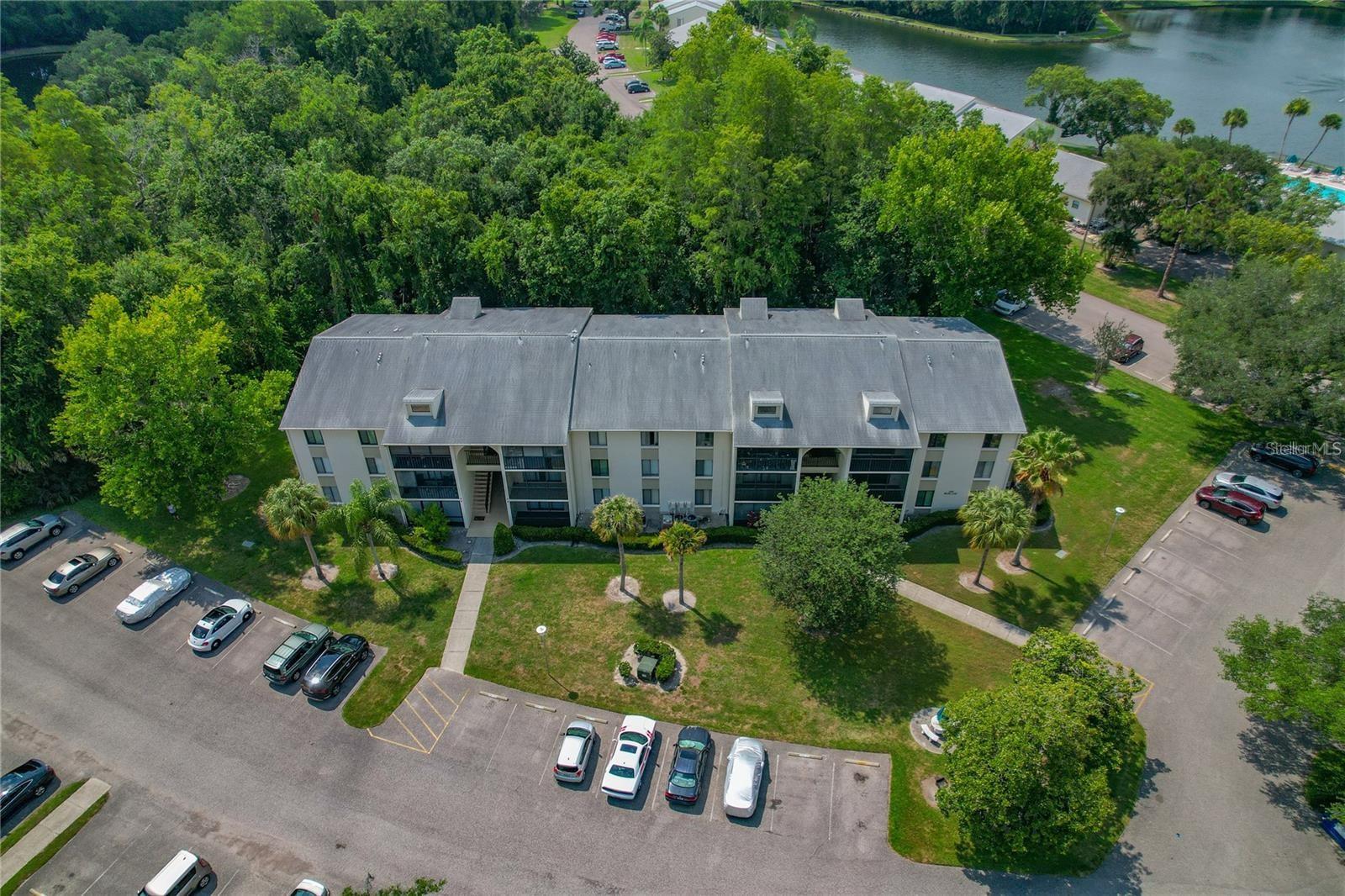 3161 LAKE PINE WAY S #F3, TARPON SPRINGS, FL — photo 42