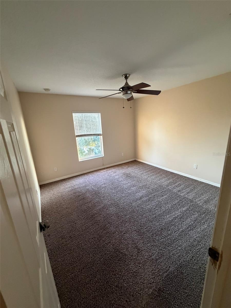 6224 ZANE DR, MOUNT DORA, FL — photo 20