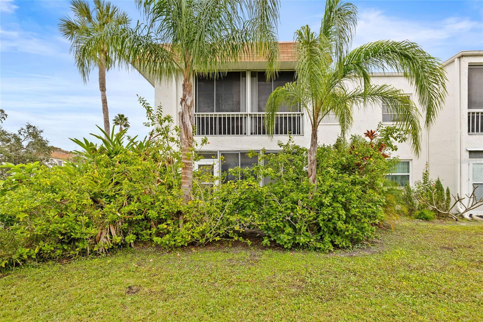 379 S MCMULLEN BOOTH RD #75, CLEARWATER, FL — photo 6