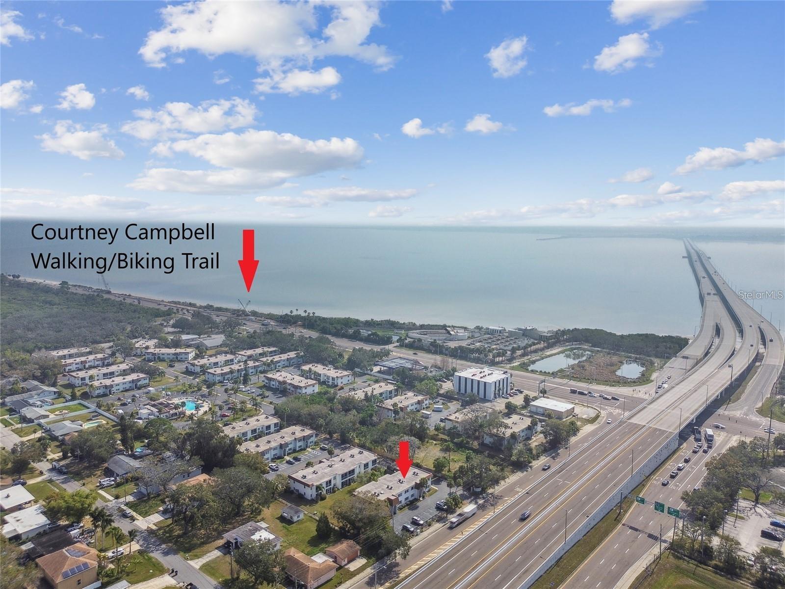 379 S MCMULLEN BOOTH RD #75, CLEARWATER, FL — photo 49