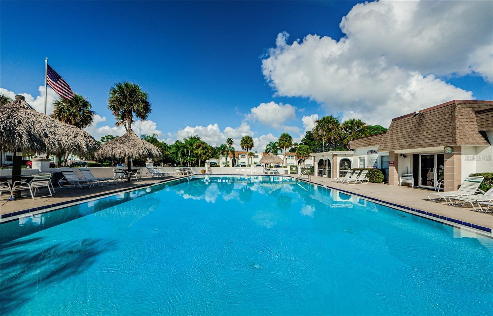 379 S MCMULLEN BOOTH RD #75, CLEARWATER, FL — photo 67