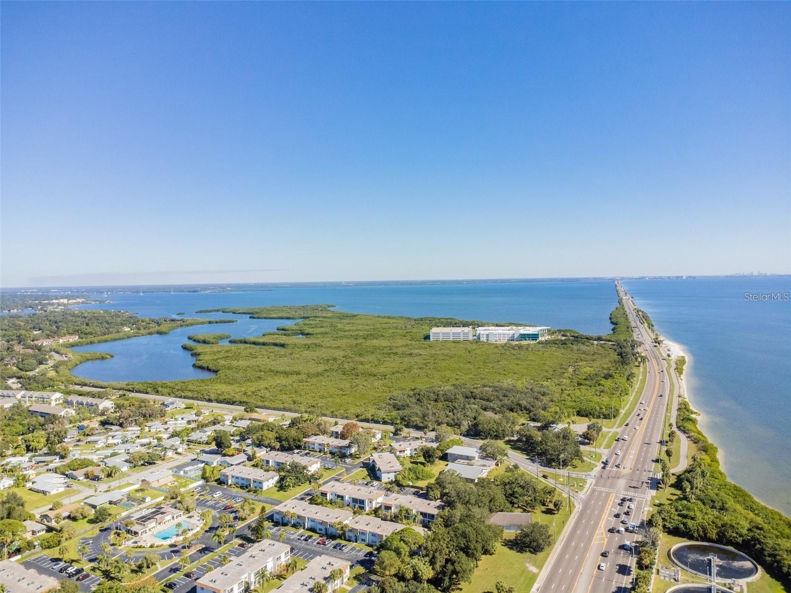 379 S MCMULLEN BOOTH RD #75, CLEARWATER, FL — photo 70