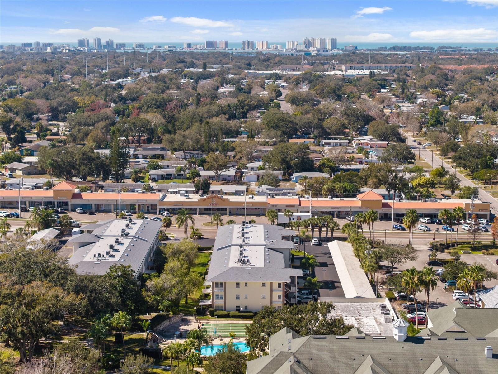 1235 S HIGHLAND AVE #1-207, CLEARWATER, FL — photo 46