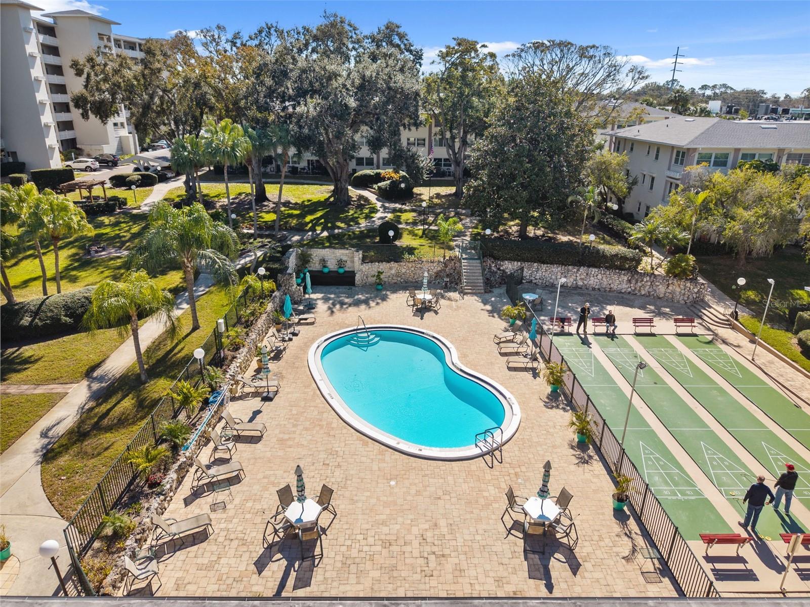 1235 S HIGHLAND AVE #1-207, CLEARWATER, FL — photo 66