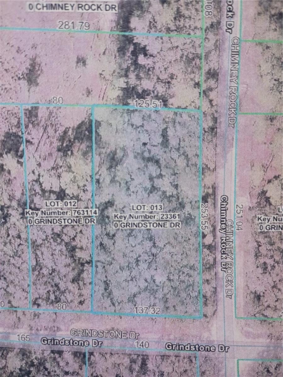 GRINDSTONE DR, WEBSTER, FL