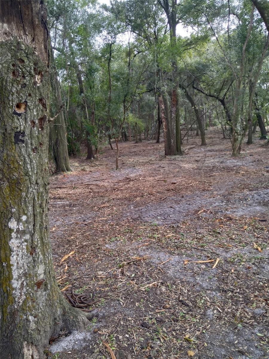2ND ST, DELAND, FL — photo 8